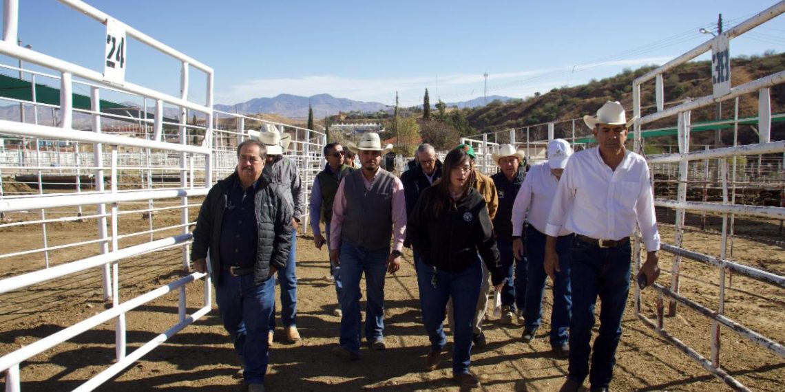 Sonora listo para recibir inspección de EU y reanudar exportación de ganado.