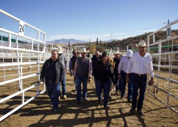 Sonora listo para recibir inspección de EU y reanudar exportación de ganado.