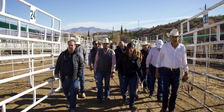 Sonora listo para recibir inspección de EU y reanudar exportación de ganado.