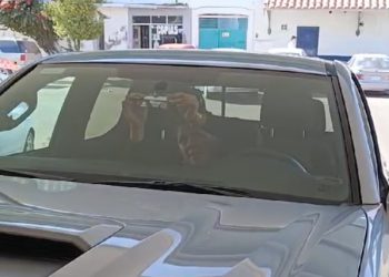 Reinicia Gobierno de Sonora en Navojoa colocación de holograma de nueva generación: Repuve Sonora.