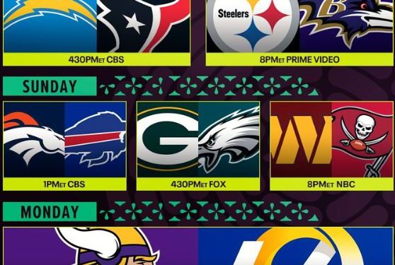 Playoffs de la NFL 2025: Así se jugarán los partidos de postemporada | Fechas y horarios.
