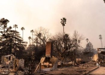 DiCaprio, Beyonce y empresas donan millones de dólares a los afectados por los incendios en Los Ángeles.