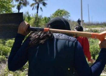Periodistas, activistas y buscadoras piden una reunión con Sheinbaum para atender sus casos y fortalecer los mecanismos de protección.