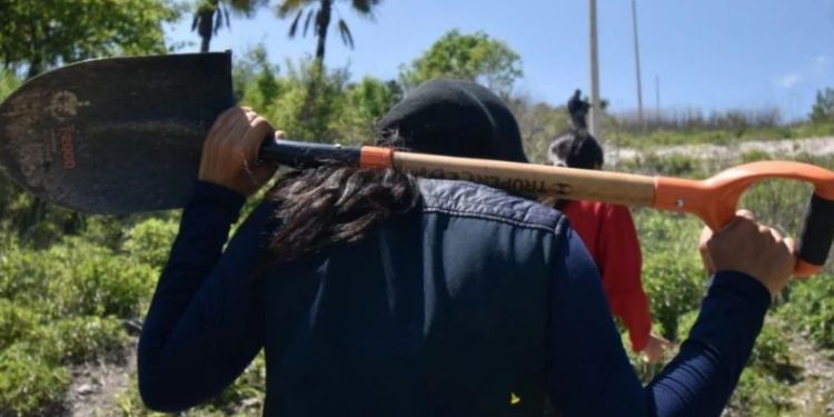 Periodistas, activistas y buscadoras piden una reunión con Sheinbaum para atender sus casos y fortalecer los mecanismos de protección.