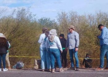 Buscadoras por la Paz detectan 35 fosas clandestinas más con restos humanos.