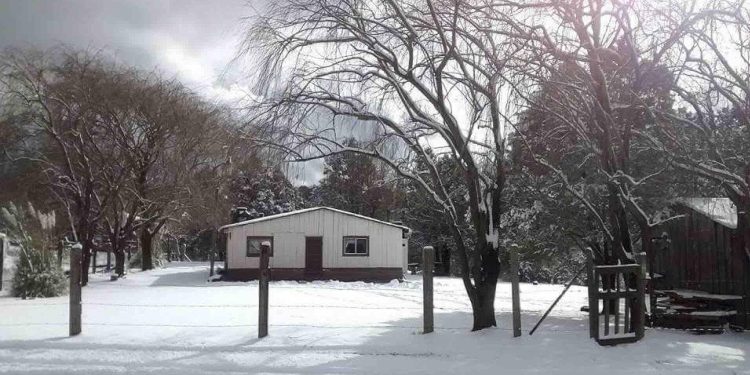 Suspenden clases por bajas temperaturas en 41 municipios de la entidad de Sonora.