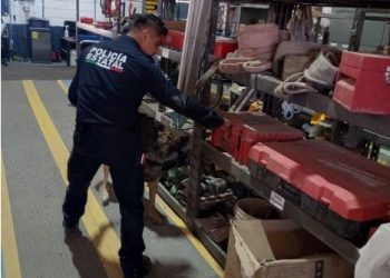 Asegura Gobierno de Sonora más de 5 mil dosis de narcótico en operativos de la Policía Estatal.