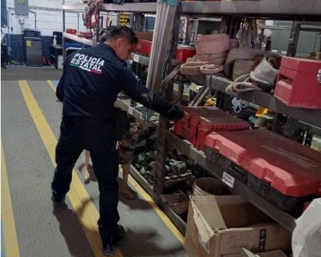 Asegura Gobierno de Sonora más de 5 mil dosis de narcótico en operativos de la Policía Estatal.