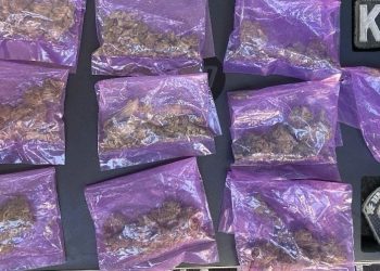 Asegura Unidad K-9 de la Policía Estatal sustancias prohibidas en operativo por Hermosillo.