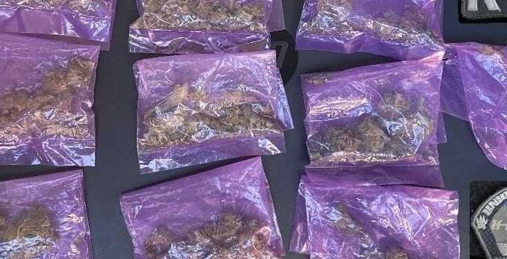 Asegura Unidad K-9 de la Policía Estatal sustancias prohibidas en operativo por Hermosillo.