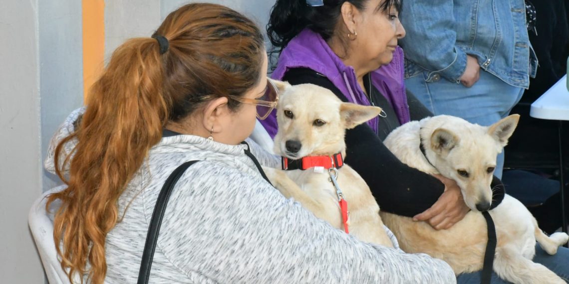 Reitera Gobierno de Hermosillo llamado a estudiantes a participar en el Croquetón 2025.