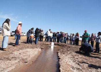 Se reactivan tierras al cultivo con obra hidroagrícola en Navojoa.