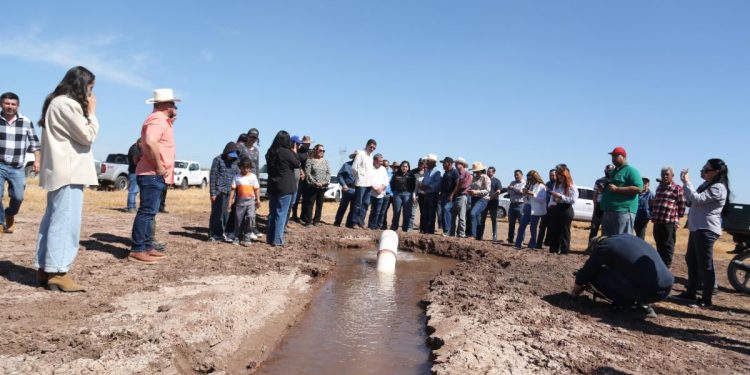 Se reactivan tierras al cultivo con obra hidroagrícola en Navojoa.