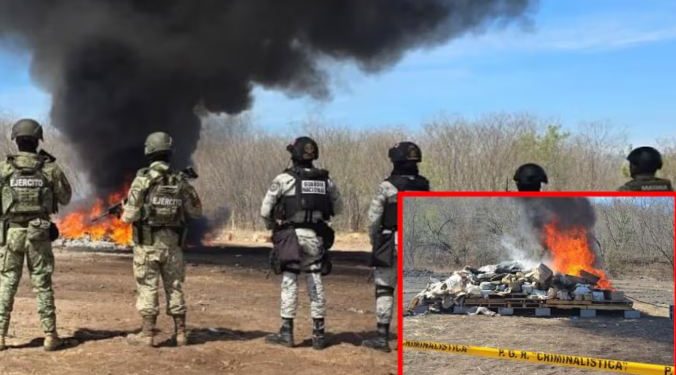 Destruyen más de 2 toneladas de droga y 281 litros de sustancias químicas en Sinaloa.