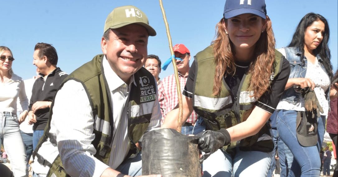 Reconocen gobierno de Toño Astiazarán por arborización e innovación en el cuidado de árboles.