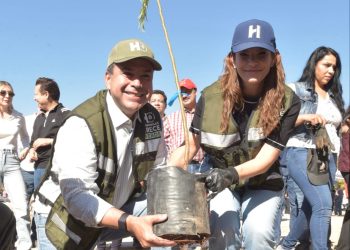 Reconocen gobierno de Toño Astiazarán por arborización e innovación en el cuidado de árboles.