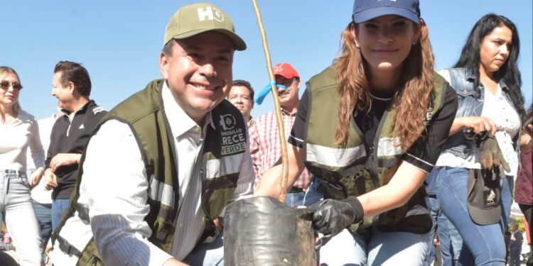 Reconocen gobierno de Toño Astiazarán por arborización e innovación en el cuidado de árboles.