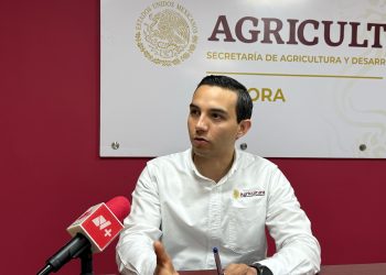 Exportación de ganado de Nogales a Estados Unidos fuera de peligro; se descarta presencia de fiebre aftosa.