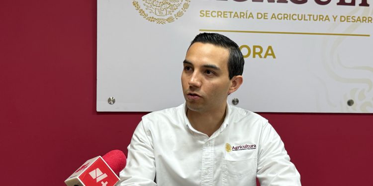 Exportación de ganado de Nogales a Estados Unidos fuera de peligro; se descarta presencia de fiebre aftosa.