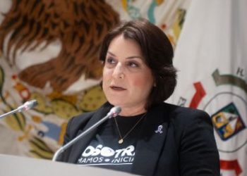 Registro de Deudores Alimentarios una deuda pendiente para proteger derechos de las infancias: Gabriela Félix.