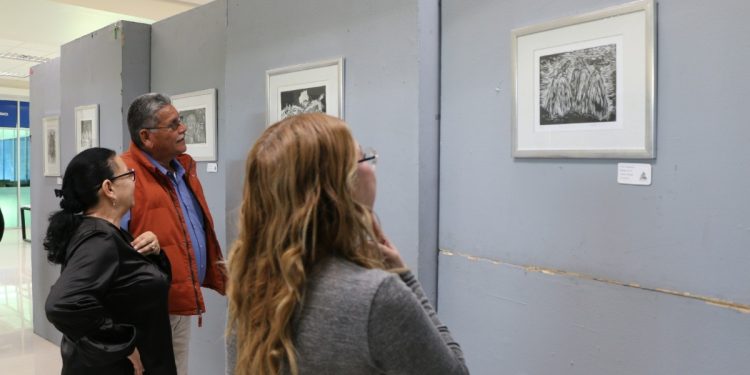 Impulsa Gobierno de Sonora el trabajo de artistas plásticos de la entidad.