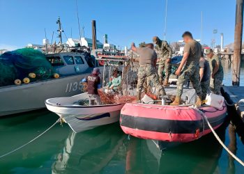 Gobierno de México retira 6 mil metros de redes ilegales de enmalle y libera diez totoabas y dos tortugas en el Alto Golfo de California.