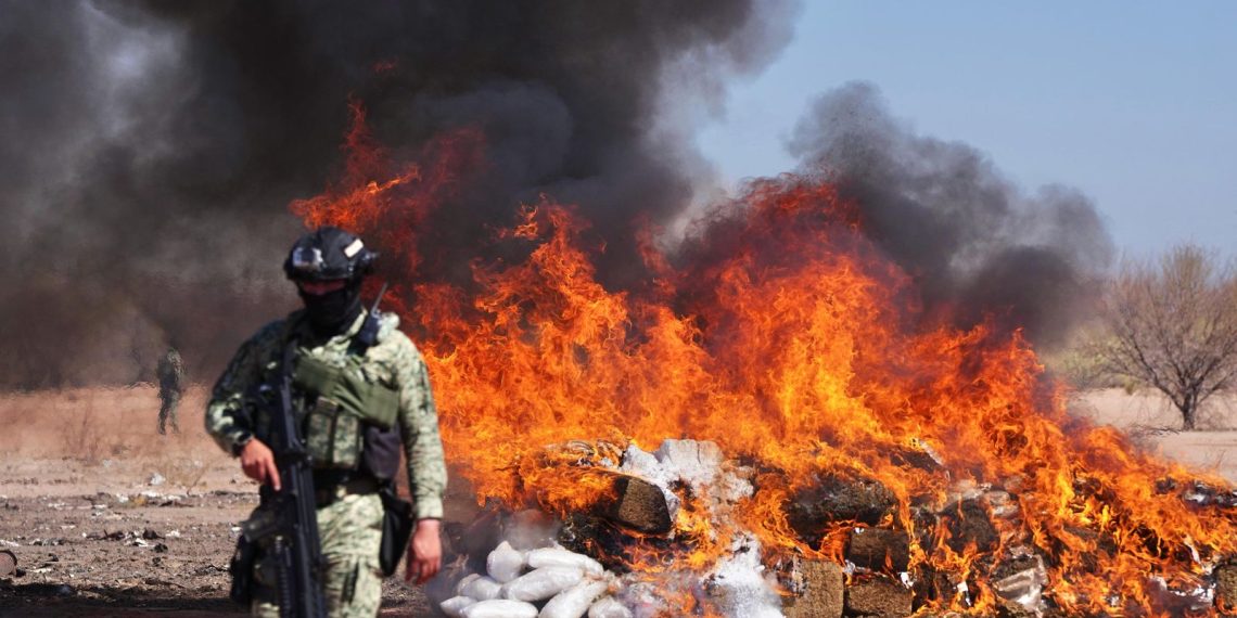 Gobierno de Sonora destruye de 1.2 toneladas de narcóticos.