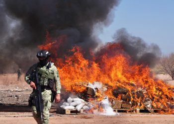 Gobierno de Sonora destruye de 1.2 toneladas de narcóticos.