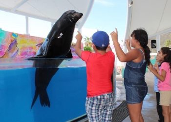 Ofrece Gobierno de Sonora áreas recreativas para disfrutar de la Semana Santa Sonora 2025.