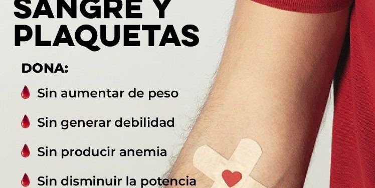 Lo que debes saber sobre la donación de sangre.
