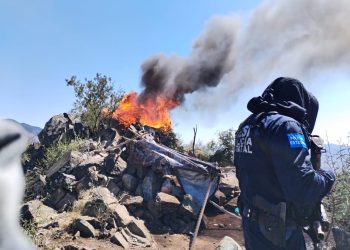 Destruye SSP 39 puntos de observación en protocolo fronterizo en Sonora.