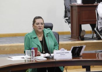 Declara INE validez y definitividad del Padrón Electoral y Listas Nominales de Electores para la elección del Poder Judicial.