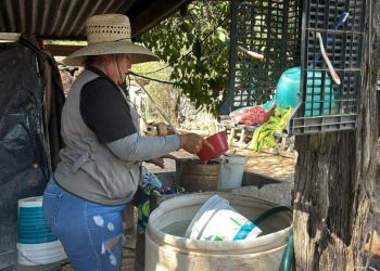 SSP llama a mantener la limpieza en casa para prevenir enfermedades.