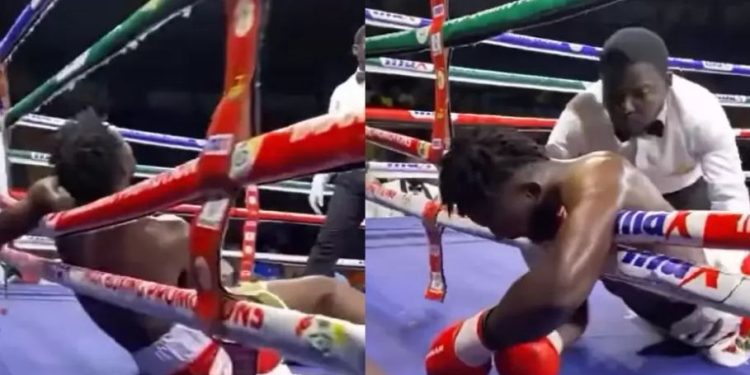 Boxeador nigeriano Gabriel Oluwasegun muere en plena pelea.
