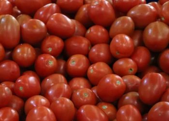 EU impondrá aranceles del 20.91% a tomates mexicanos a partir del 14 de julio.