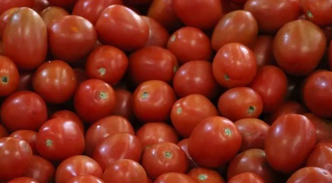 EU impondrá aranceles del 20.91% a tomates mexicanos a partir del 14 de julio.