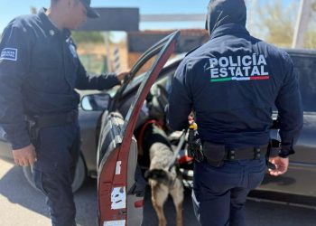 SSP obtiene resultados con operativos permanentes de la Policía Estatal en Hermosillo.