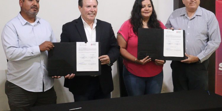 Terapias con delfines para personas con discapacidad: Cedes.