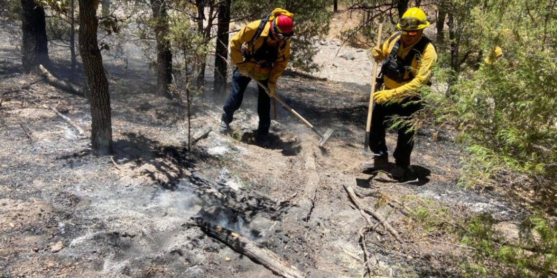 Gobierno de Sonora, en coordinación con instancias federales y municipales, mantiene combate a incendios forestales.
