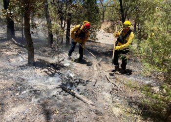 Gobierno de Sonora, en coordinación con instancias federales y municipales, mantiene combate a incendios forestales.