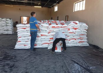 Los primeros embarques de Fertilizantes para el Bienestar 2025 llegan a Sonora; 5 mil pequeños productores serán beneficiados.