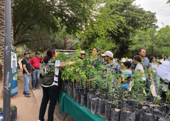 Logra Gobierno de Hermosillo récord en jornada de donación de plantas nativas.