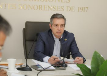 Aprueba Comisión del Agua reforma para preservar la flora nativa y optimizar uso del recurso hídrico.