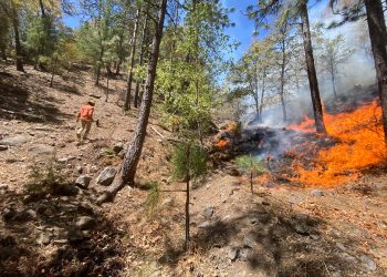 Se alcanza 50 por ciento de control en incendio forestal en Nácori Chico.