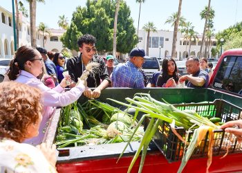 Estudiantes de agronomía de la Unison cosechan y venden hortalizas.
