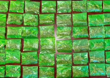 Más de 50 envoltorios de narcótico asegurados en operativos del Gobierno de Sonora en Hermosillo.