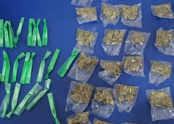 Asegura Gobierno de Sonora más de 132 mil dosis de narcótico.