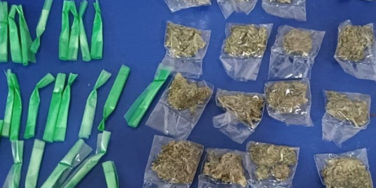 Asegura Gobierno de Sonora más de 132 mil dosis de narcótico.