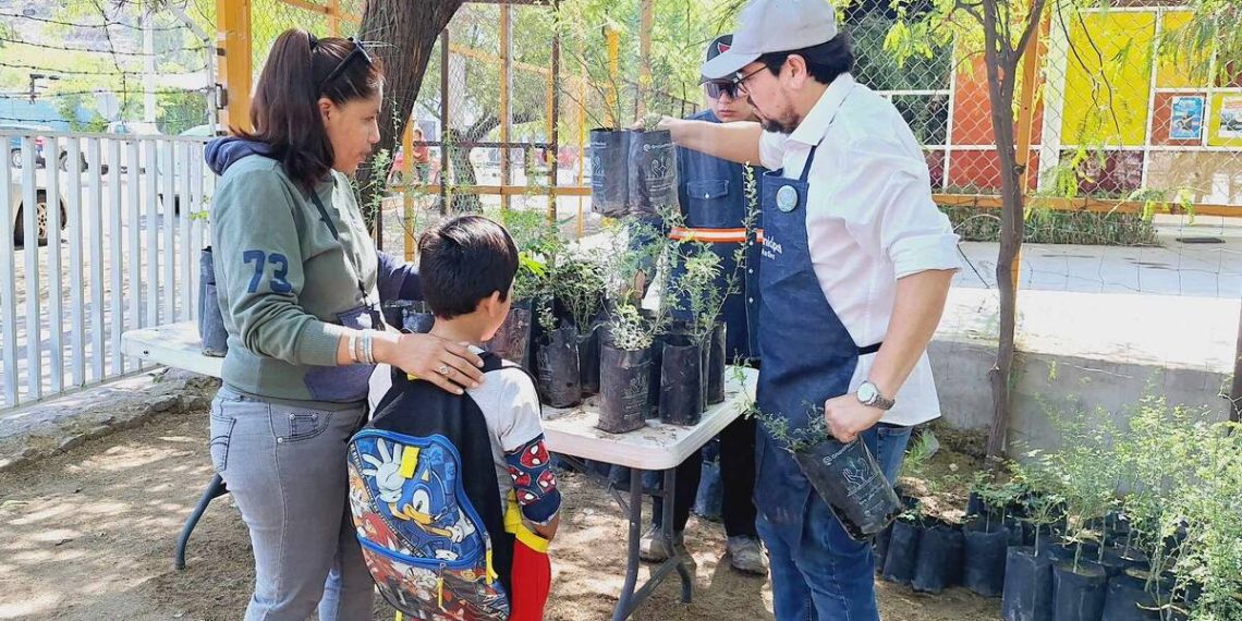 Se donarán árboles nativos el próximo sábado en el Vivero Municipal de Hermosillo.