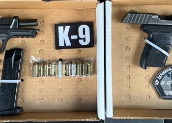 Binomios caninos del Gobierno de Sonora interceptan a personas armadas.